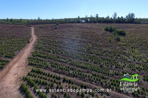 ALTO 360.00_02_52_15.Quadro007_f02ed8d89590374bb8b17f2bd6e485929817d0b2.jpg